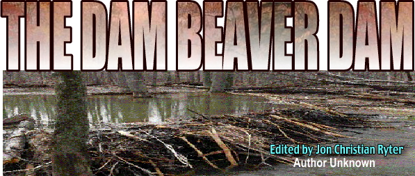 The Dam Beaver Dam