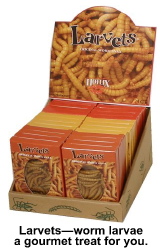 Larvaets