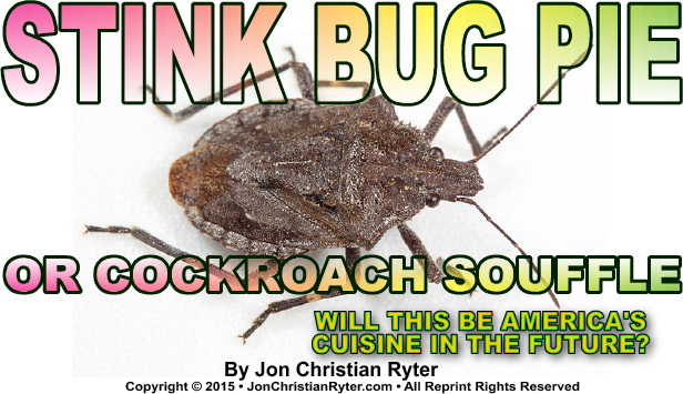 Stink Bug Pie